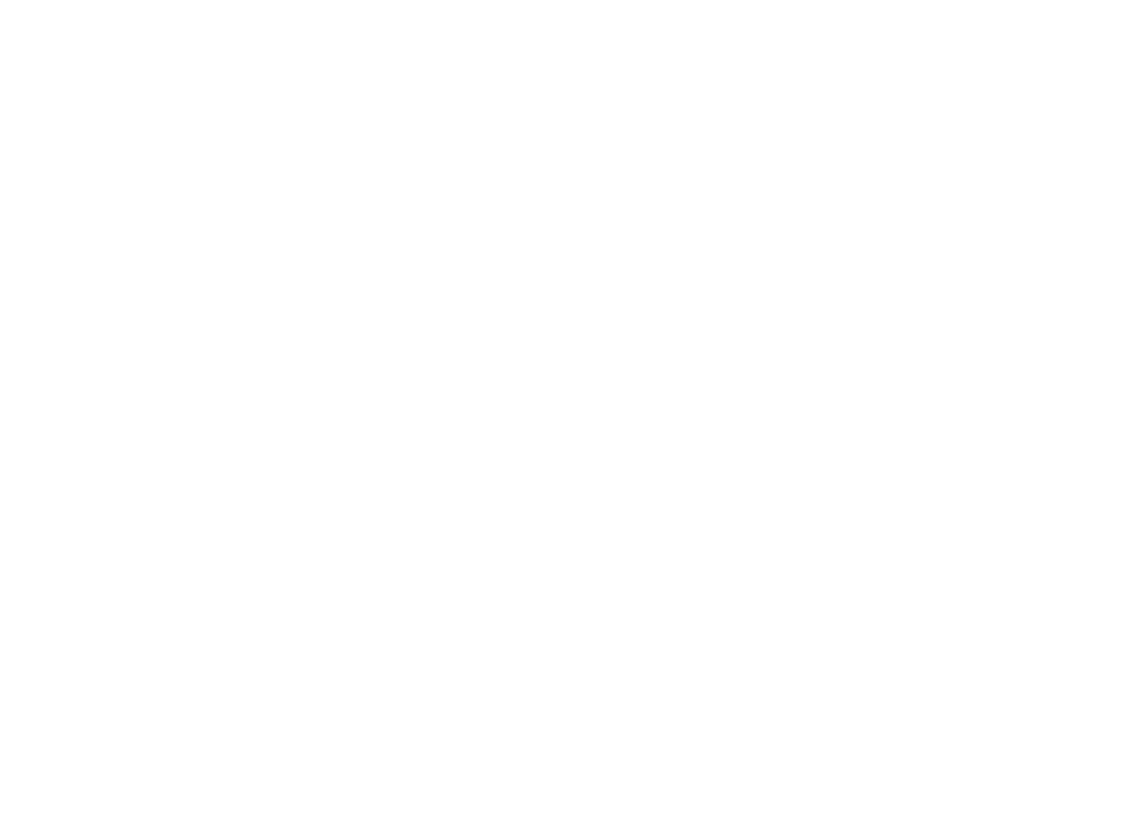 FIBB Logo